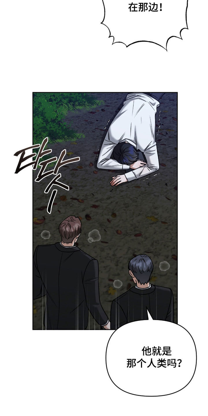 金眼黑龙王帝天漫画,第33章：破窗而逃5图