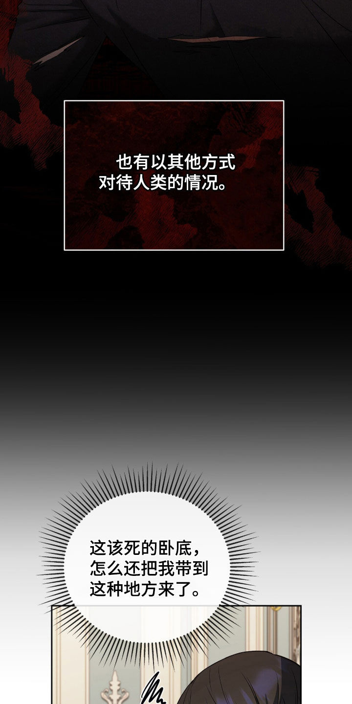 金眼陷阱剧情解析漫画,第30章：暗中搜查1图