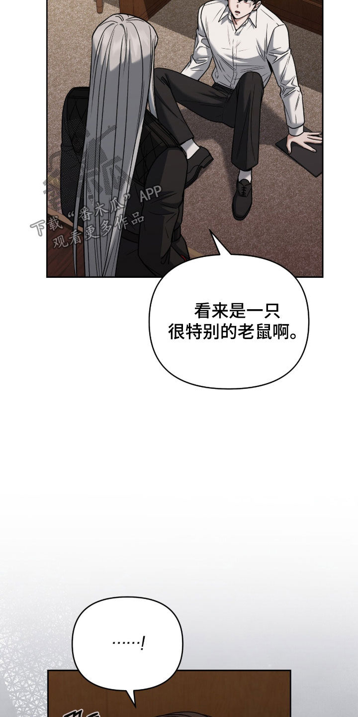 金眼陷阱剧情解析漫画,第32章：特别的老鼠2图