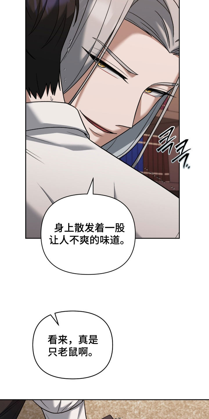 金眼黑龙王帝天漫画,第32章：特别的老鼠5图