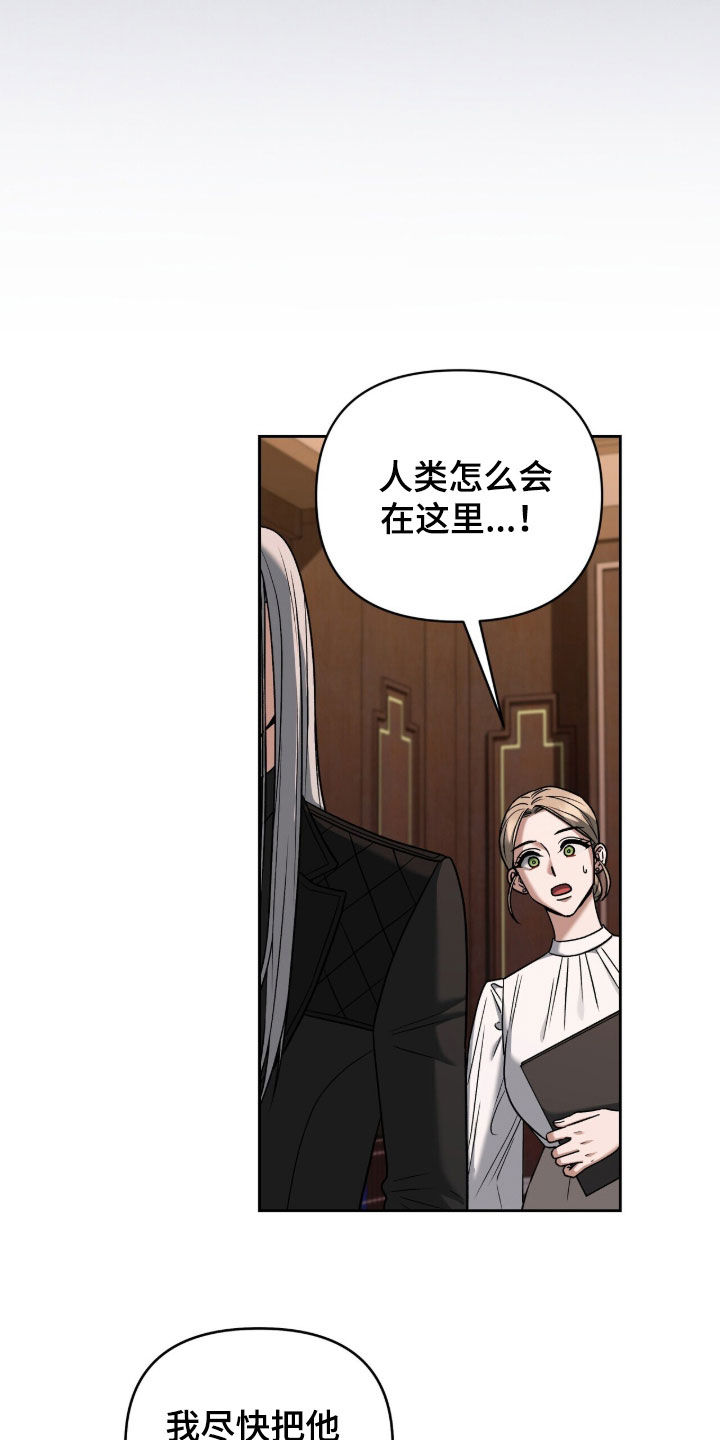 金眼陷阱剧情解析漫画,第32章：特别的老鼠3图