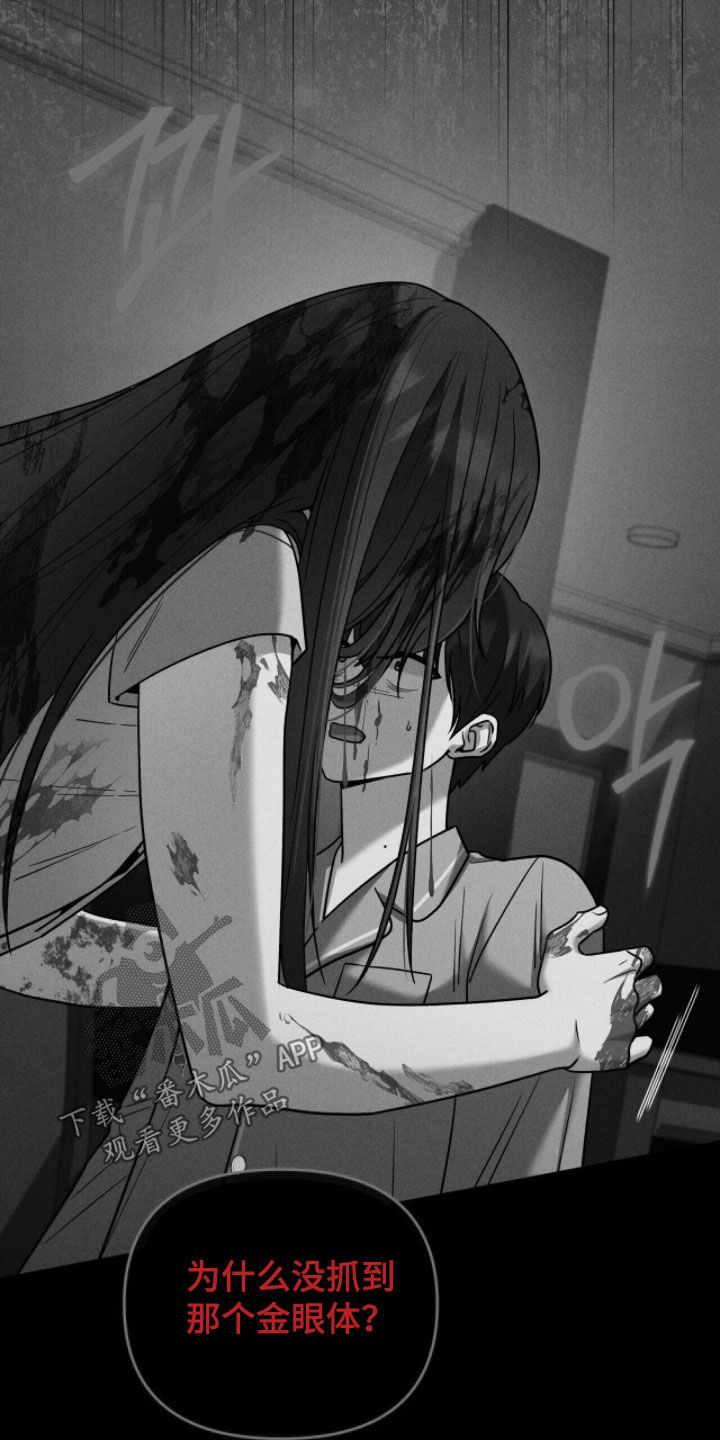 金眼黑龙王帝天漫画,第34章：质问4图