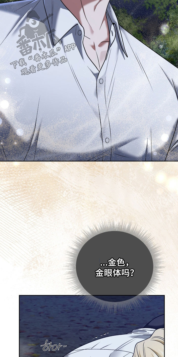 金眼黑龙王帝天漫画,第33章：破窗而逃3图