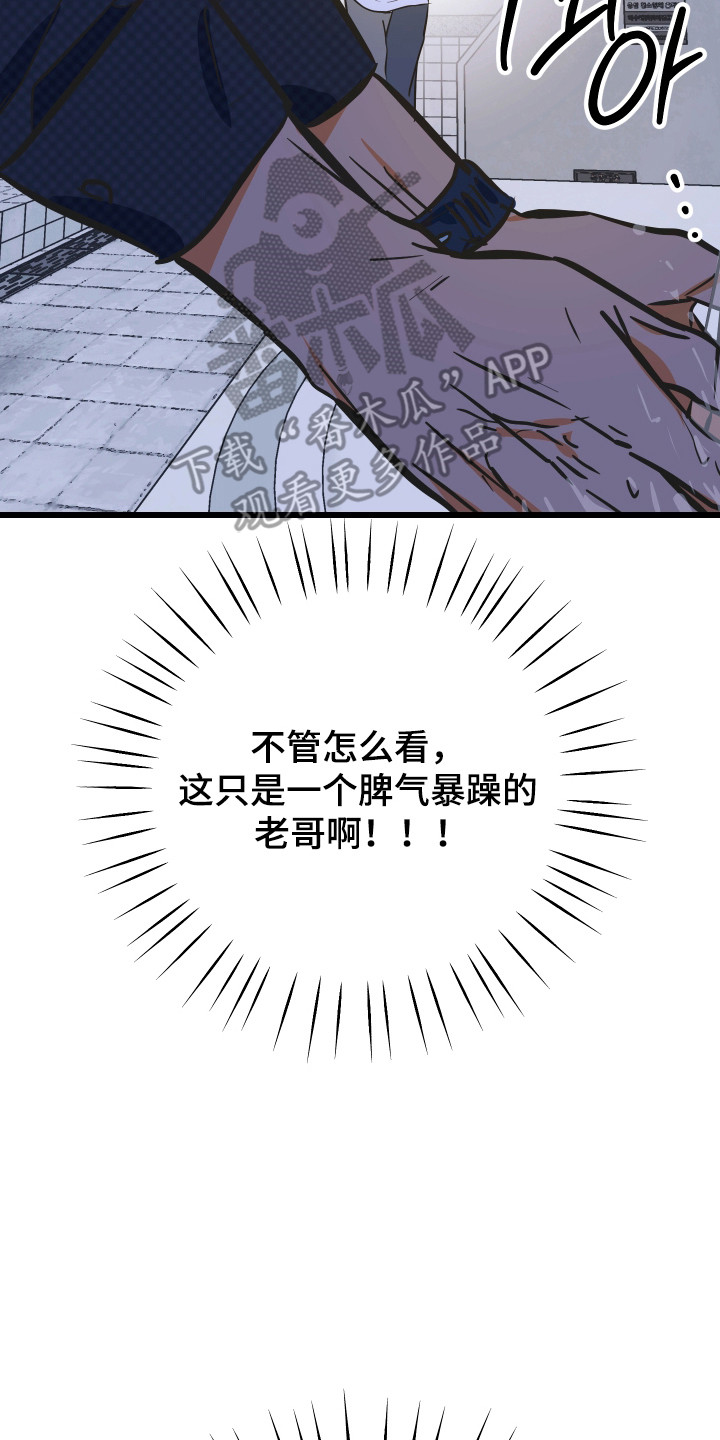 心跳加速遇难记讲什么漫画,第37章：出声咒骂3图
