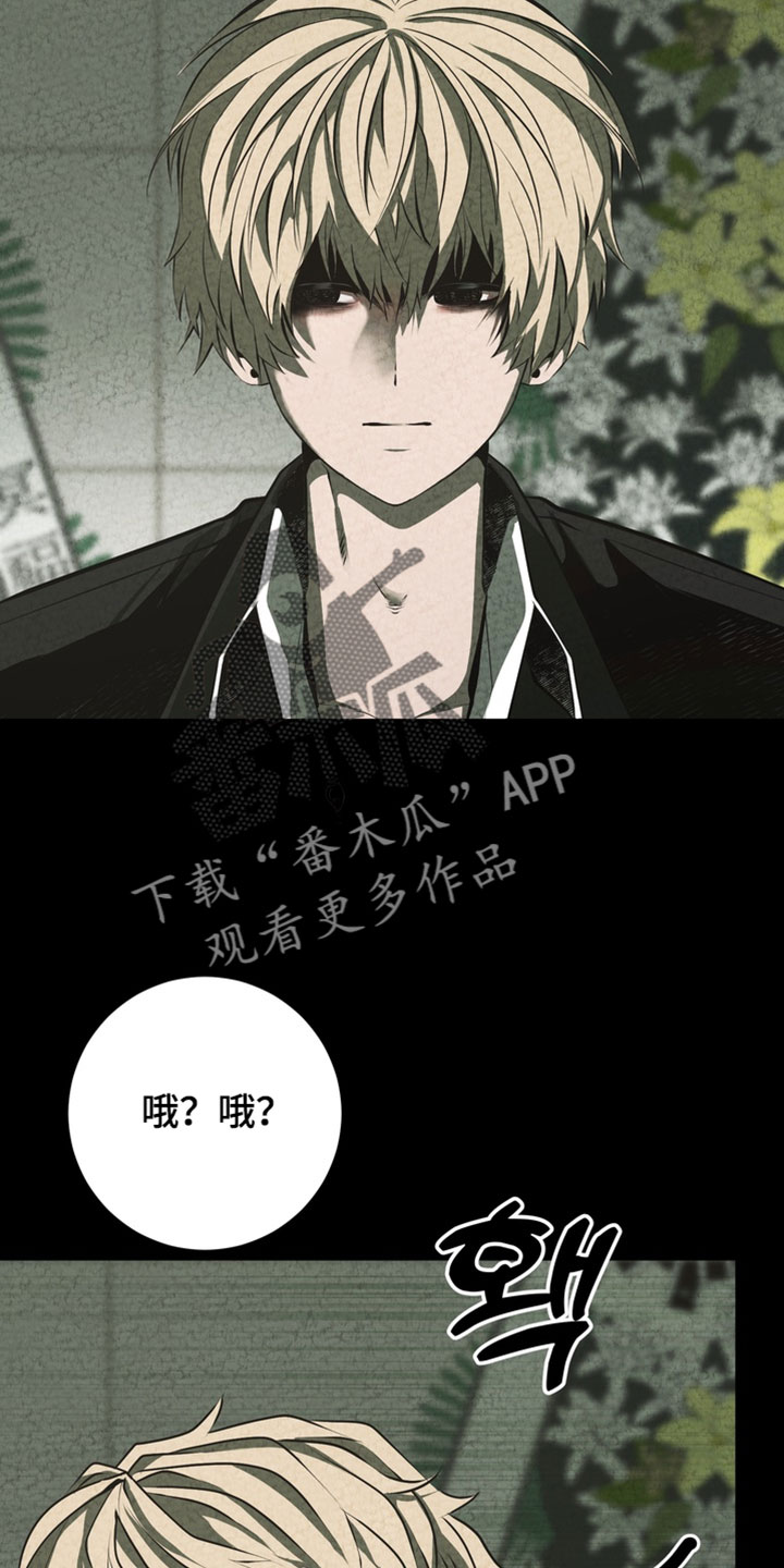 落饵之日漫画结局漫画,第26章：不要走5图