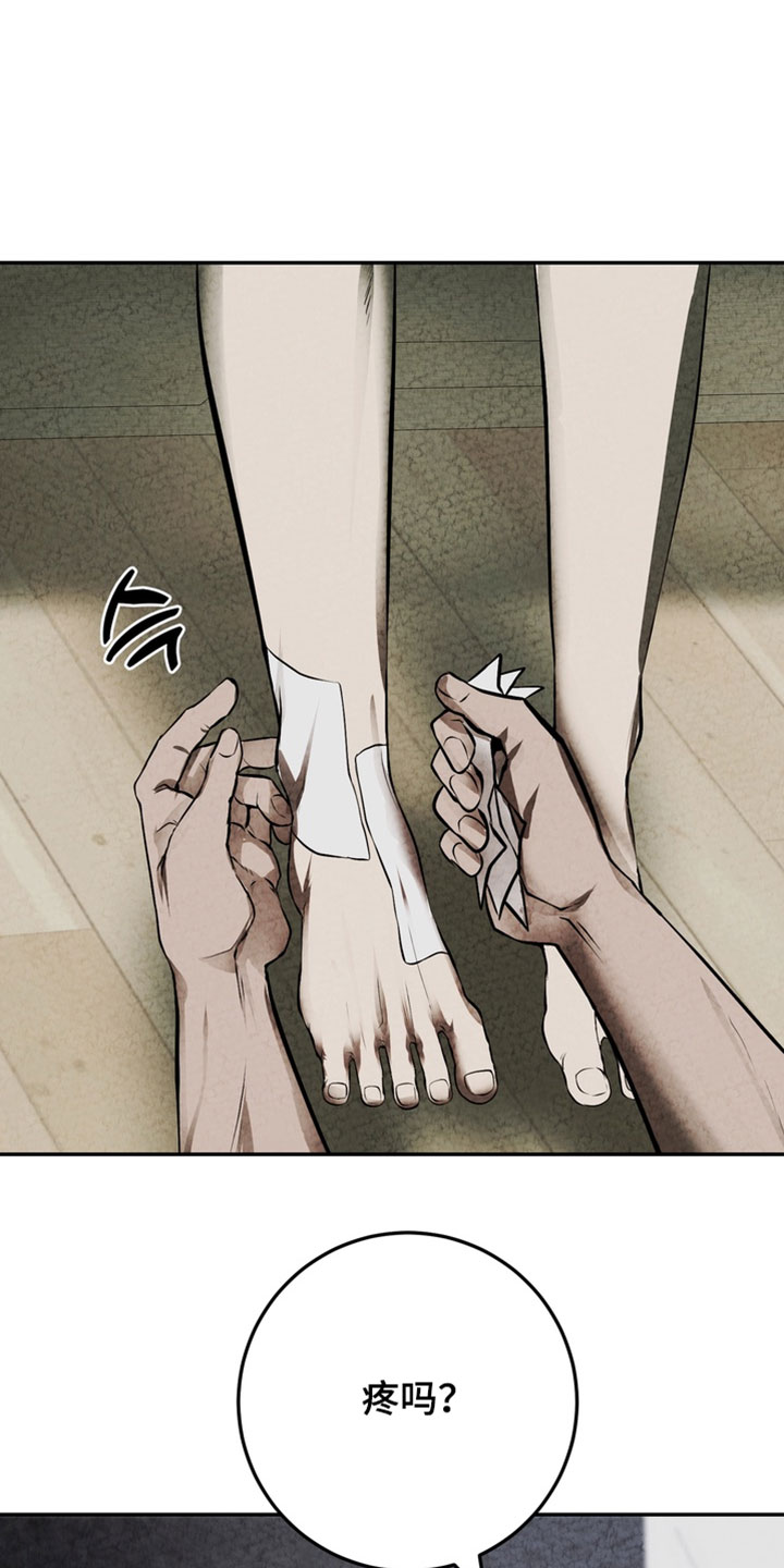 落饵之日漫画结局漫画,第33章：我没有忘记过1图