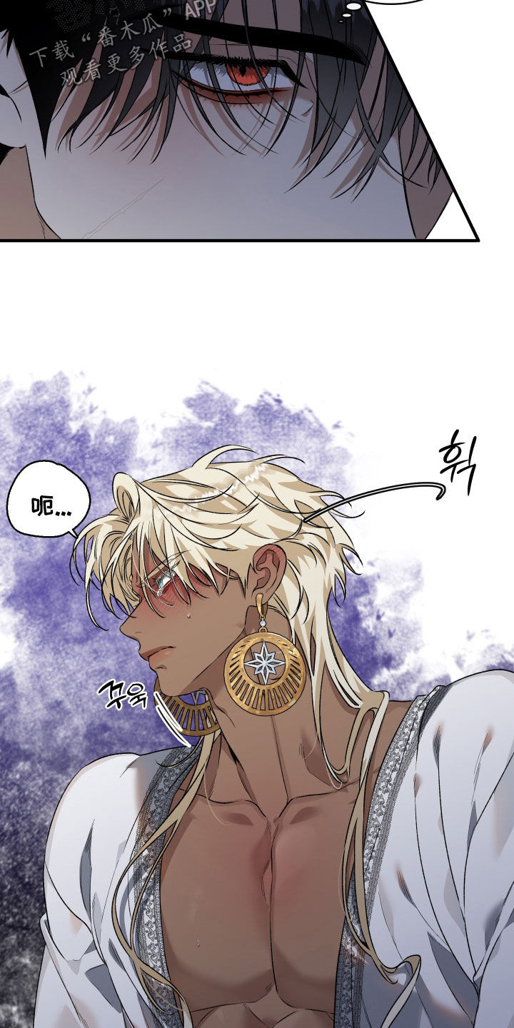 白夜的花路漫画1-29卷在哪看漫画,第35章：该怎么办5图