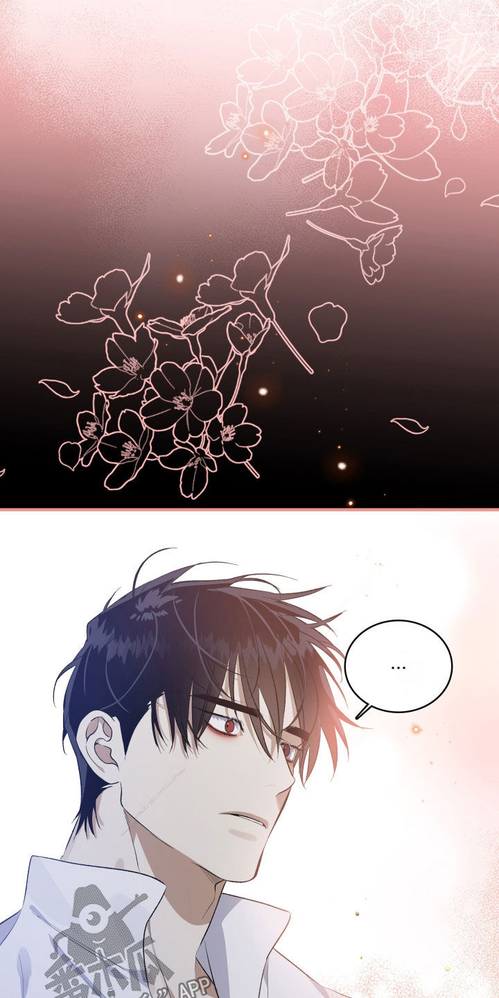 白夜的花路在线看漫画,第41章：都变了4图