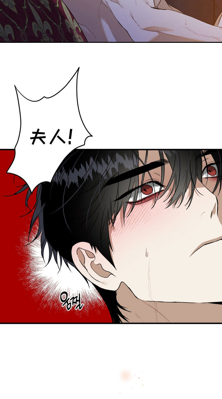 白夜的花路在线看漫画,第37章：受伤2图