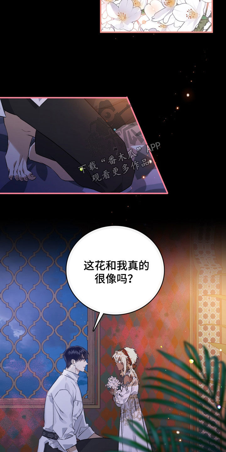 白夜的花路在线看漫画,第41章：都变了2图