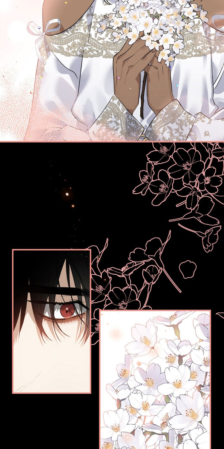 白夜的花路在线看漫画,第41章：都变了1图