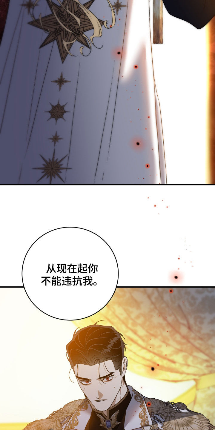 白夜的花路在线看漫画,第40章：监视1图