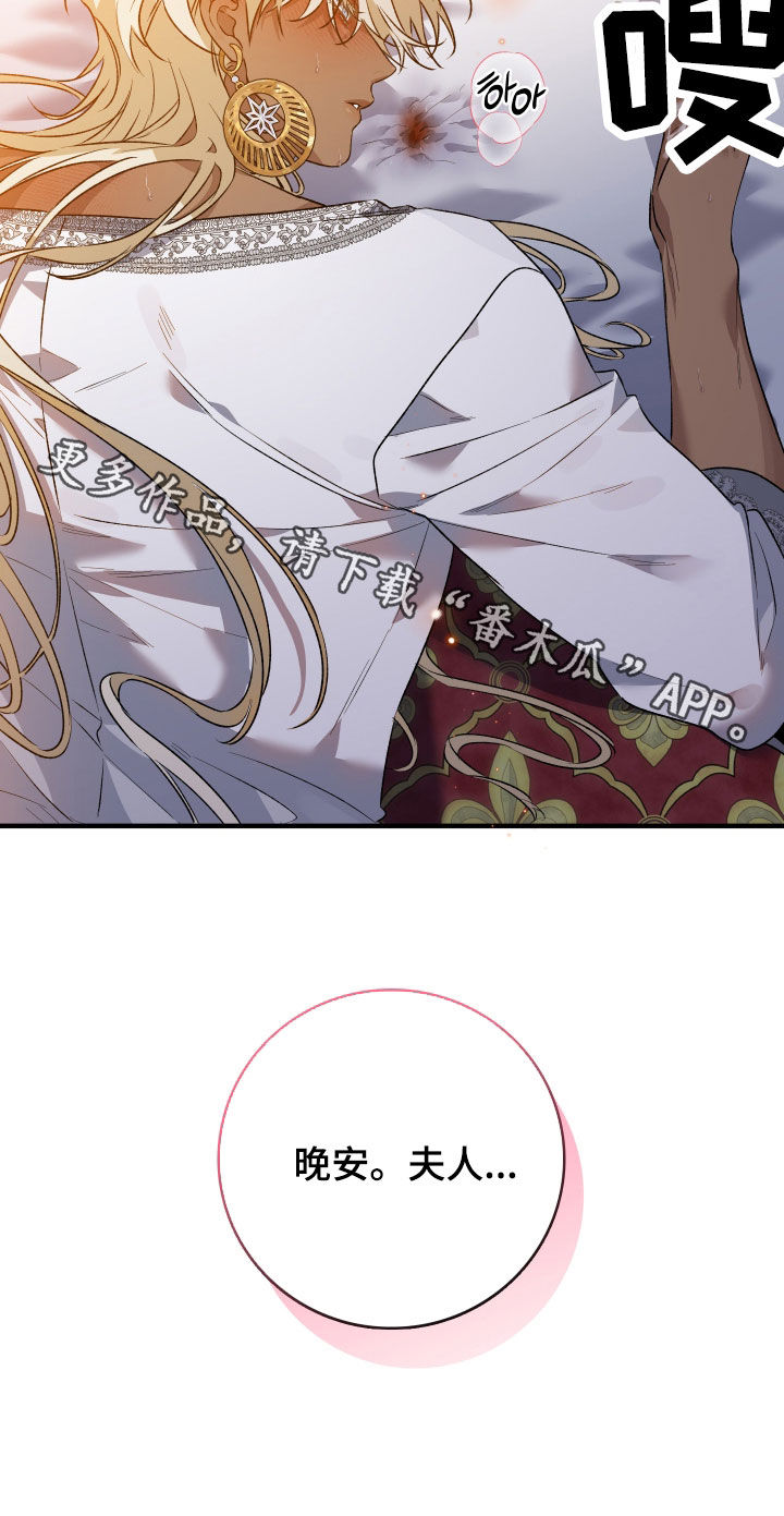 白夜的花路在线看漫画,第38章：晚安1图
