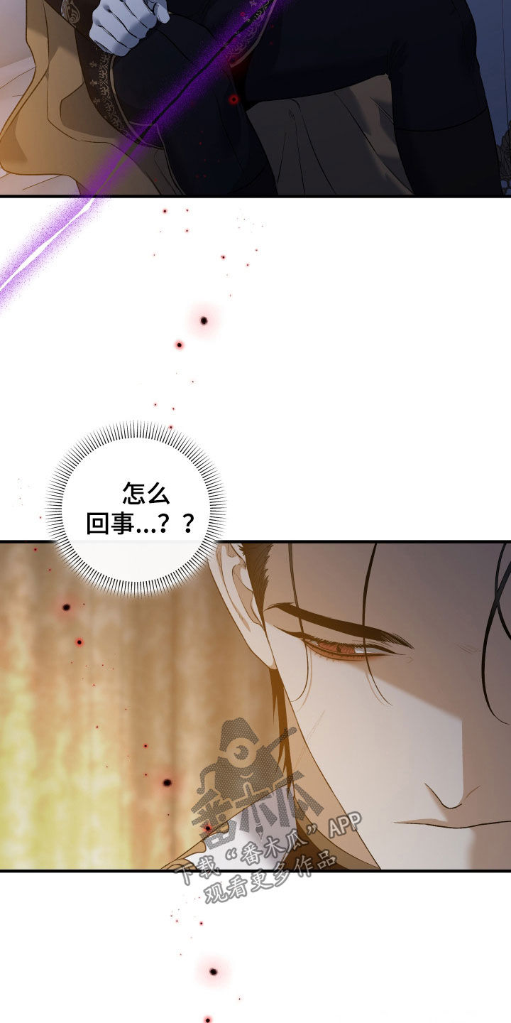 白夜的花路在线看漫画,第40章：监视3图