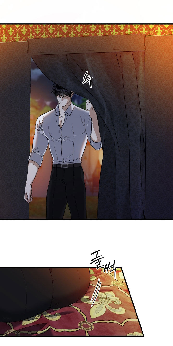 白夜的花路cp漫画,第39章：劝说2图