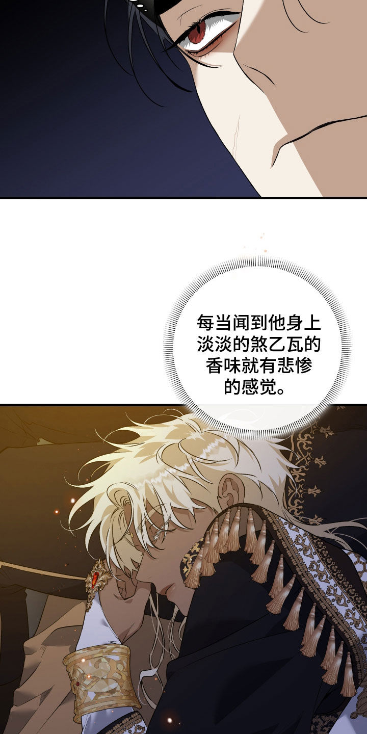 白夜的花路韩漫漫画,第39章：劝说5图
