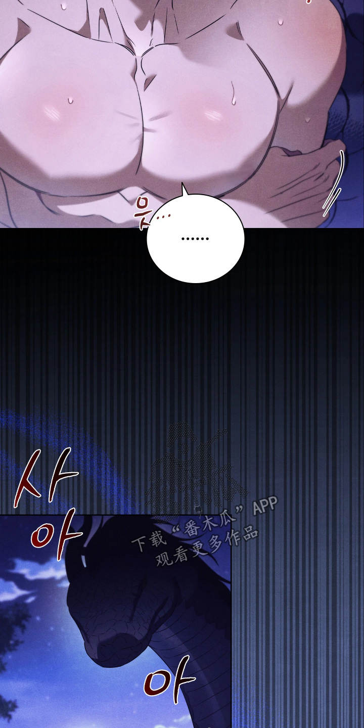 误入螭途漫画在哪免费看漫画,第26章：到底为什么1图