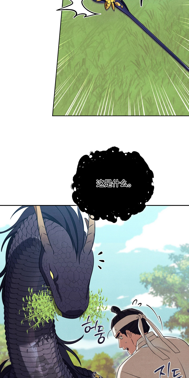 误入螭途漫画下载漫画,第29章：如何3图