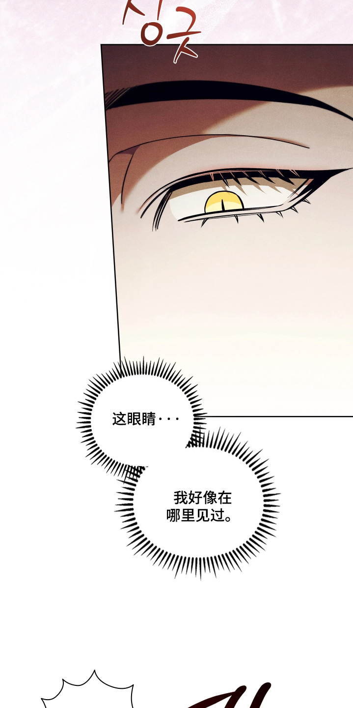 误入螭途漫画下载漫画,第34章：在哪里见过4图