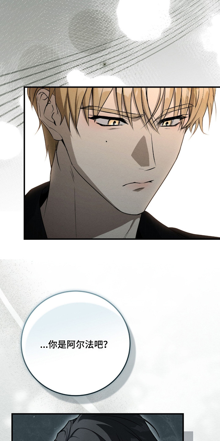 ab标记的其他方法漫画,第55章：那个人是谁4图