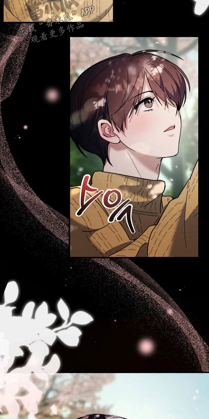 相对的烟火作者是谁漫画,第22章：打断手脚1图