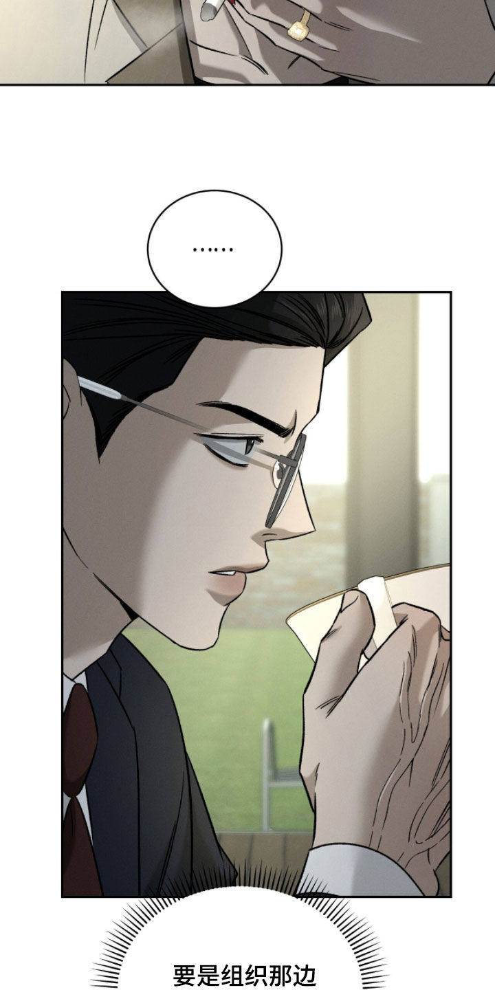 致命伪装在线免费观看漫画,第31章：干脆除掉4图