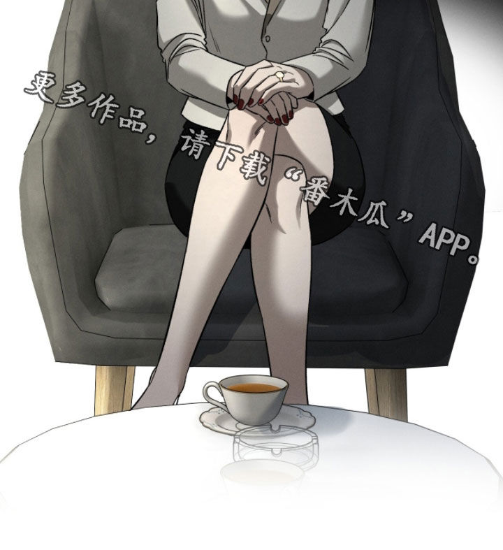 致命伪装在线免费观看漫画,第31章：干脆除掉3图