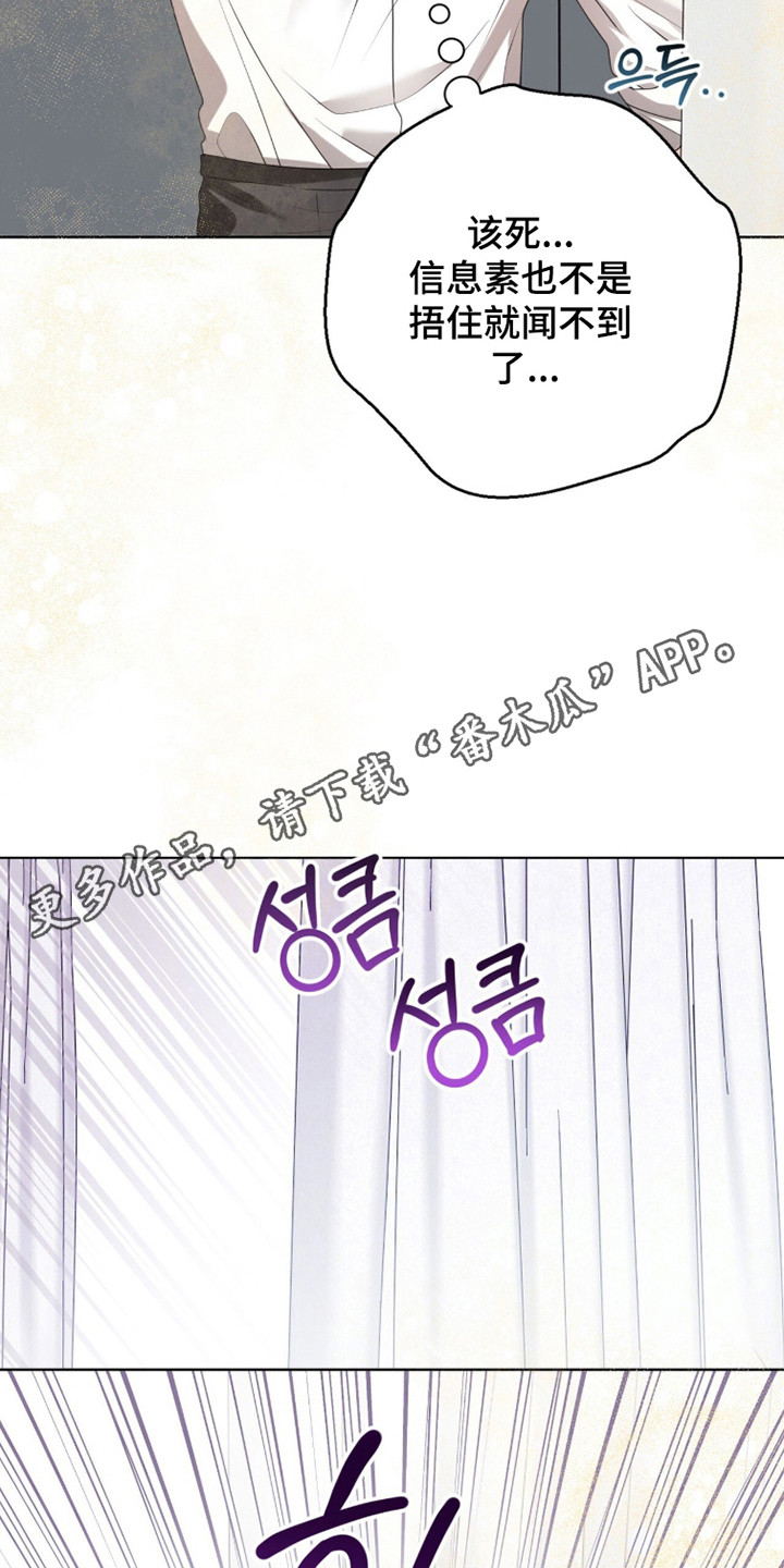 猛兽勿近漫画,第39章：信息素爆炸1图