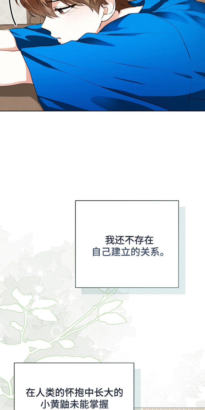 猛兽勿近剧情介绍漫画,第37章：朋友相处2图