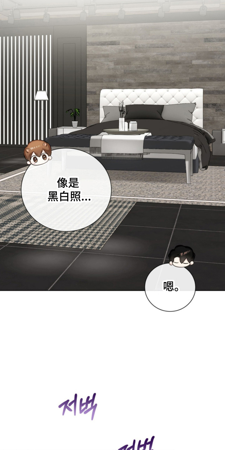 猛兽勿近小说正版漫画,第31章：下课复习2图