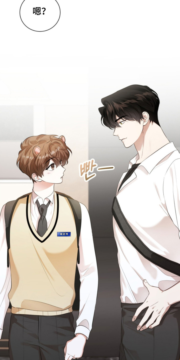 猛兽勿近剧情介绍漫画,第30章：寻找初恋5图