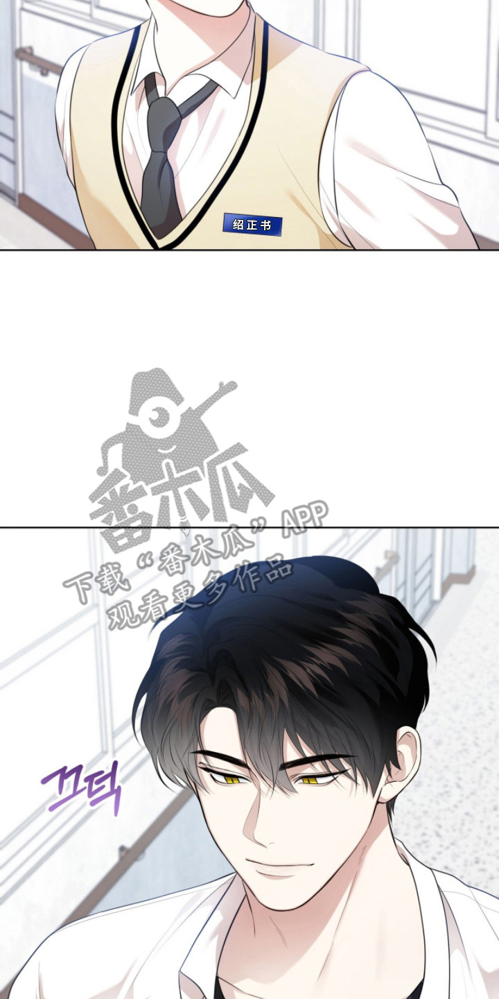 猛兽勿近剧情介绍漫画,第30章：寻找初恋5图