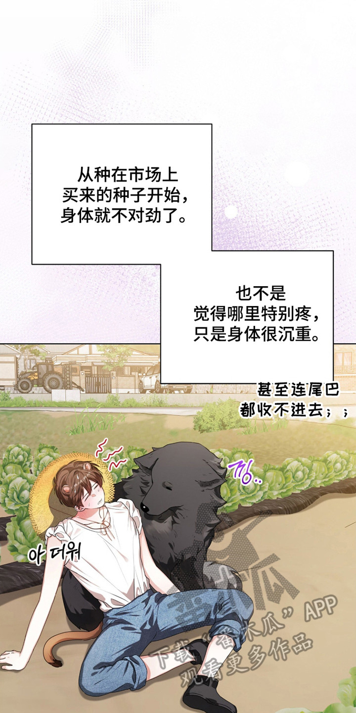 猛兽解释漫画,第38章：头痛欲裂3图