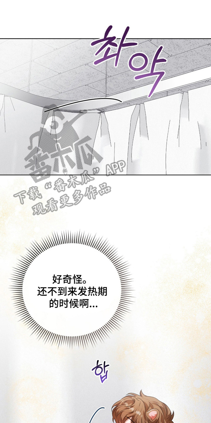 猛兽解释漫画,第39章：信息素爆炸3图