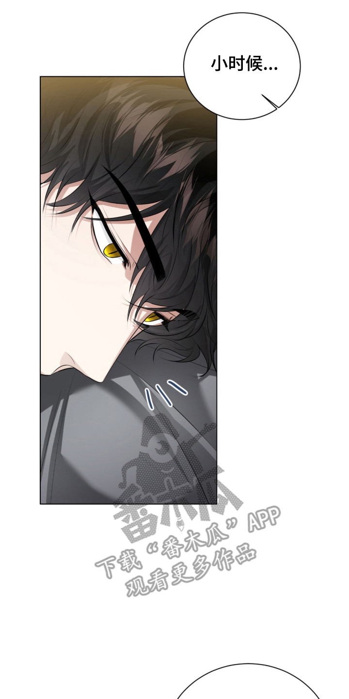 猛兽勿近剧情介绍漫画,第32章：太过沉重3图