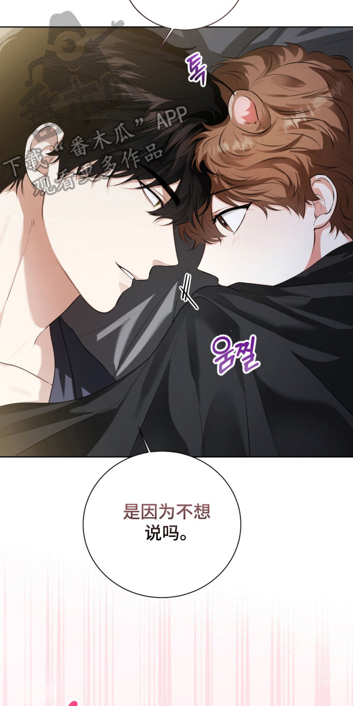 猛兽勿近剧情介绍漫画,第32章：太过沉重3图