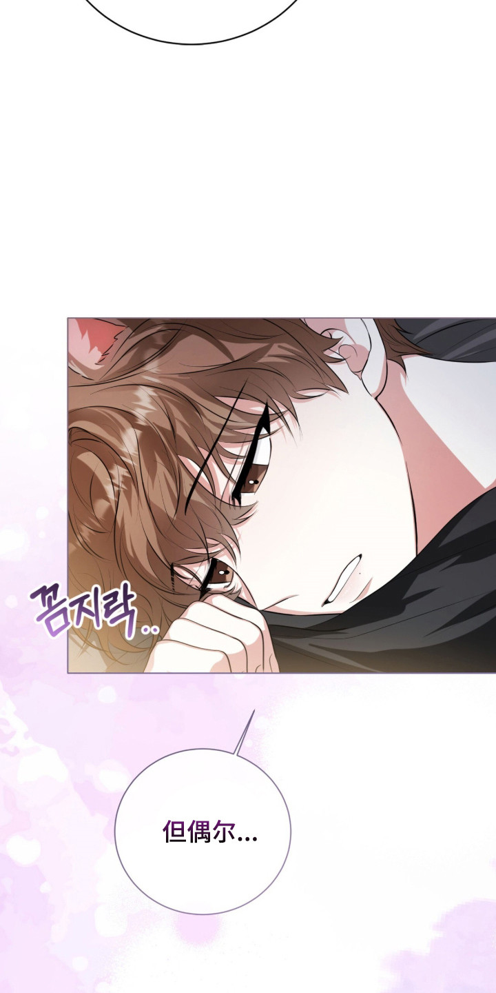 猛兽勿近剧情介绍漫画,第32章：太过沉重5图