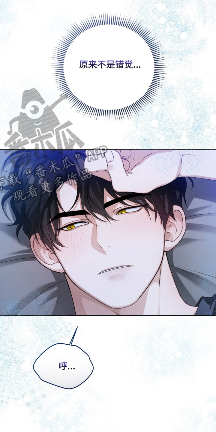 猛兽勿近漫画书正版漫画,第41章：繁殖期到了5图