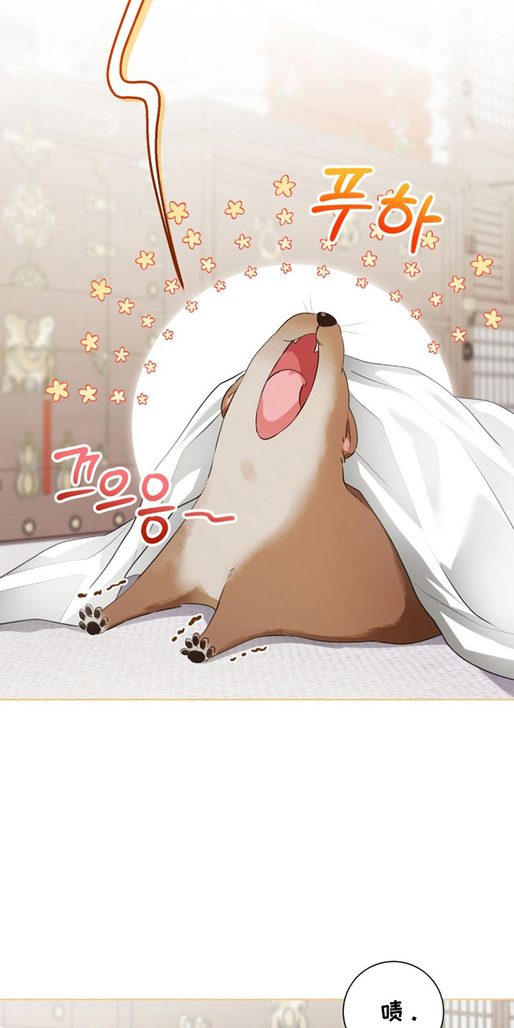 猛兽解释漫画,第36章：你喜欢我1图