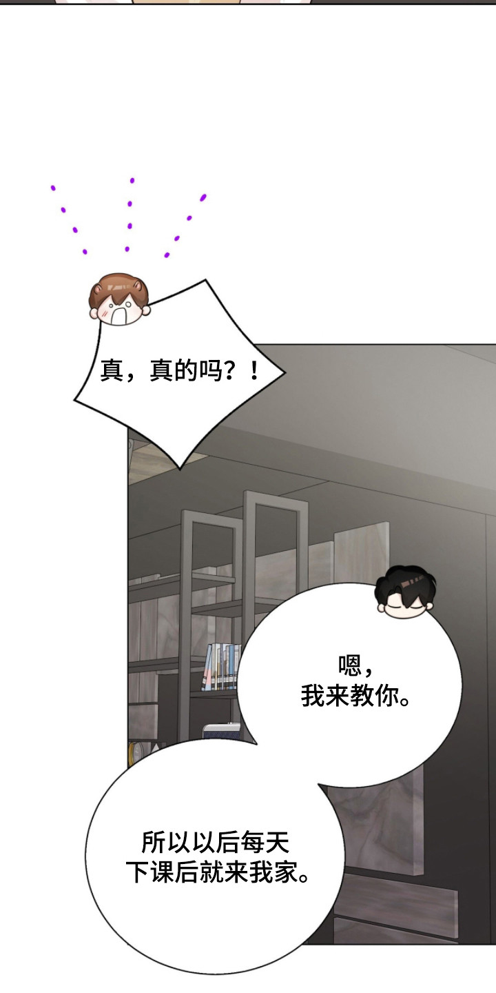 猛兽勿近小说正版漫画,第31章：下课复习4图