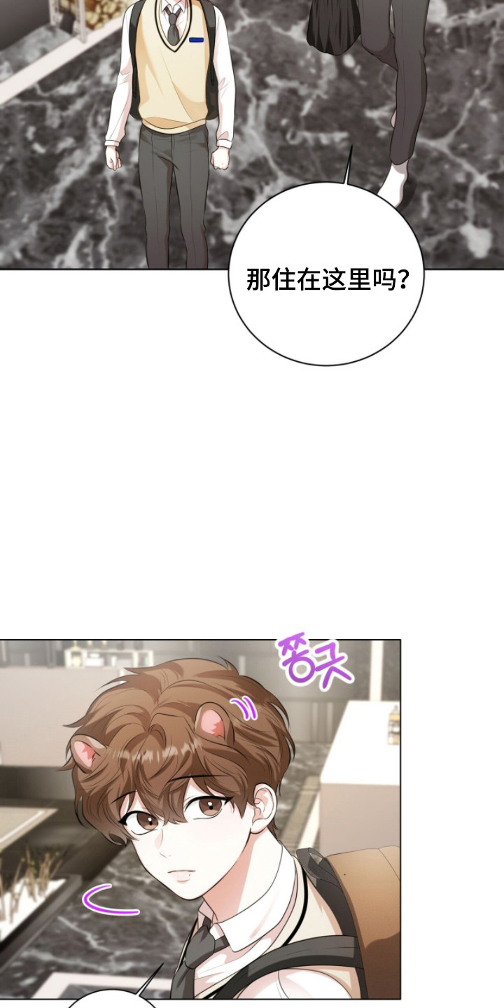 猛兽勿近剧情介绍漫画,第30章：寻找初恋4图