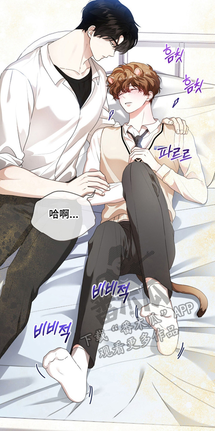 猛兽解释漫画,第39章：信息素爆炸3图