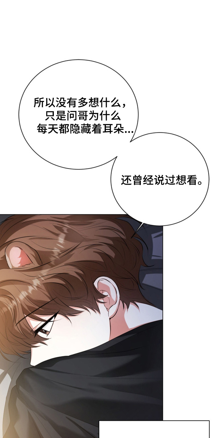 猛兽勿近剧情介绍漫画,第32章：太过沉重5图