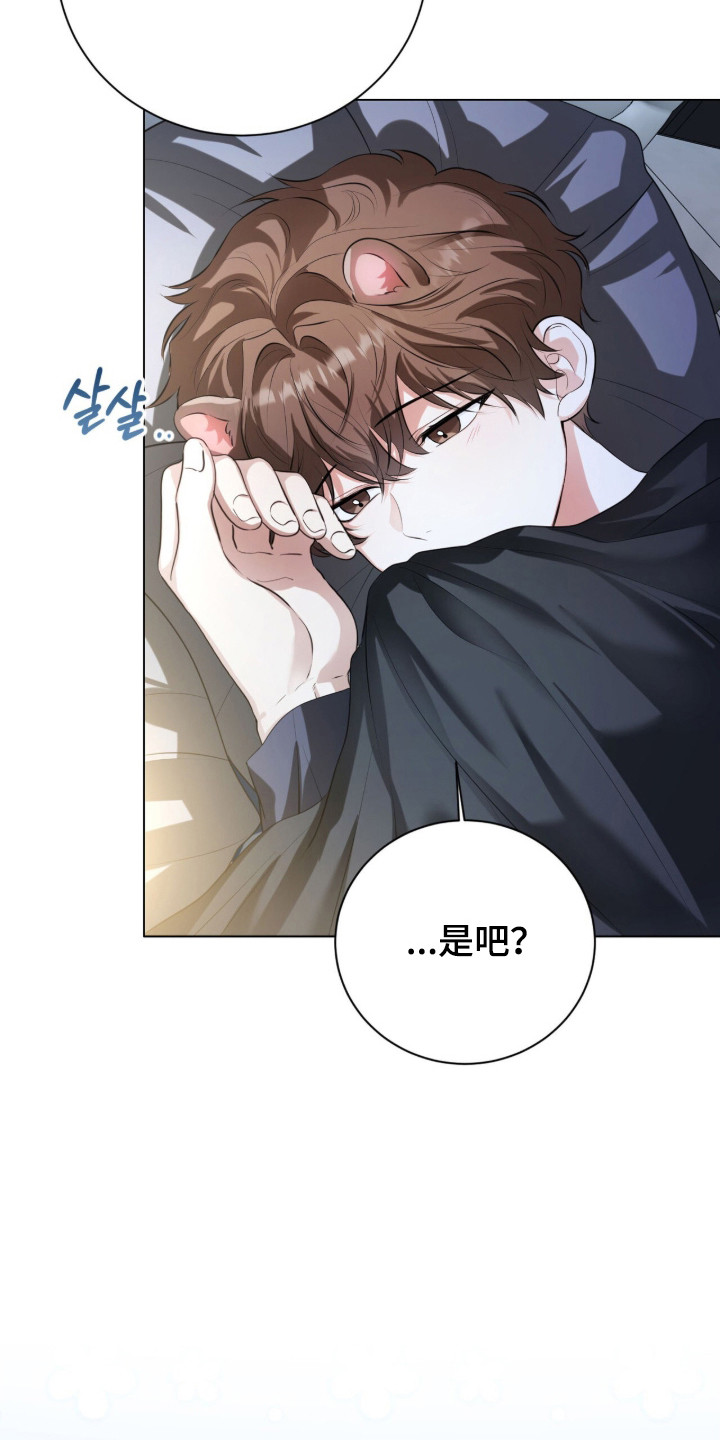 猛兽勿近剧情介绍漫画,第32章：太过沉重1图