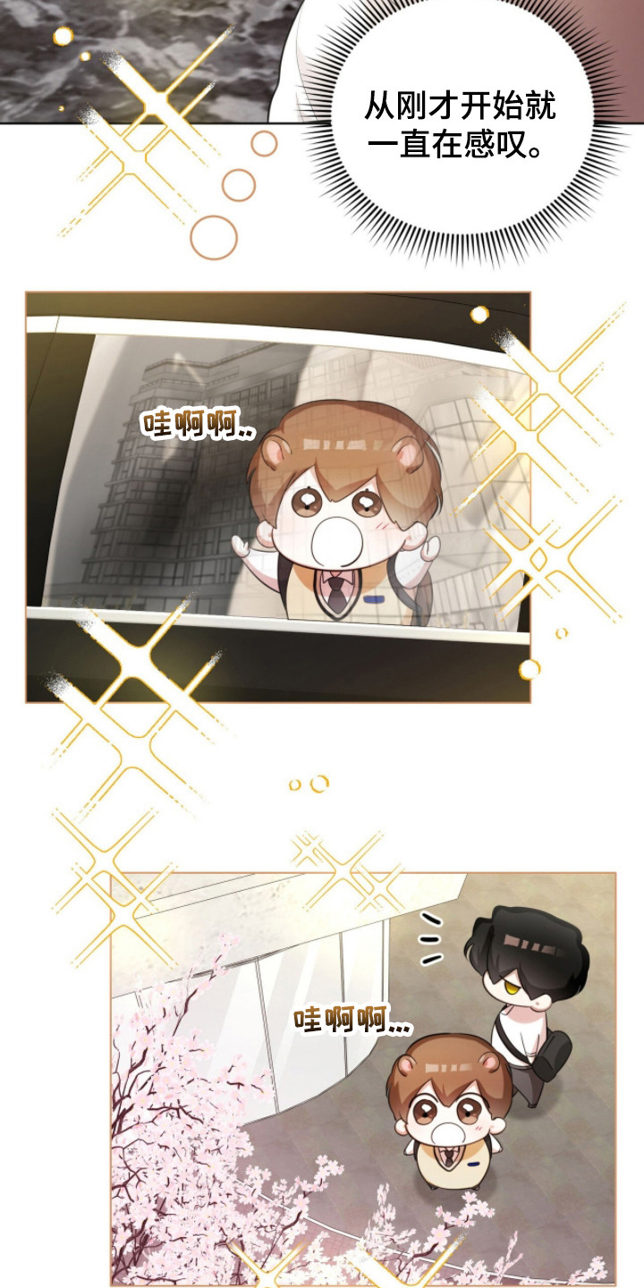 猛兽勿近剧情介绍漫画,第30章：寻找初恋2图