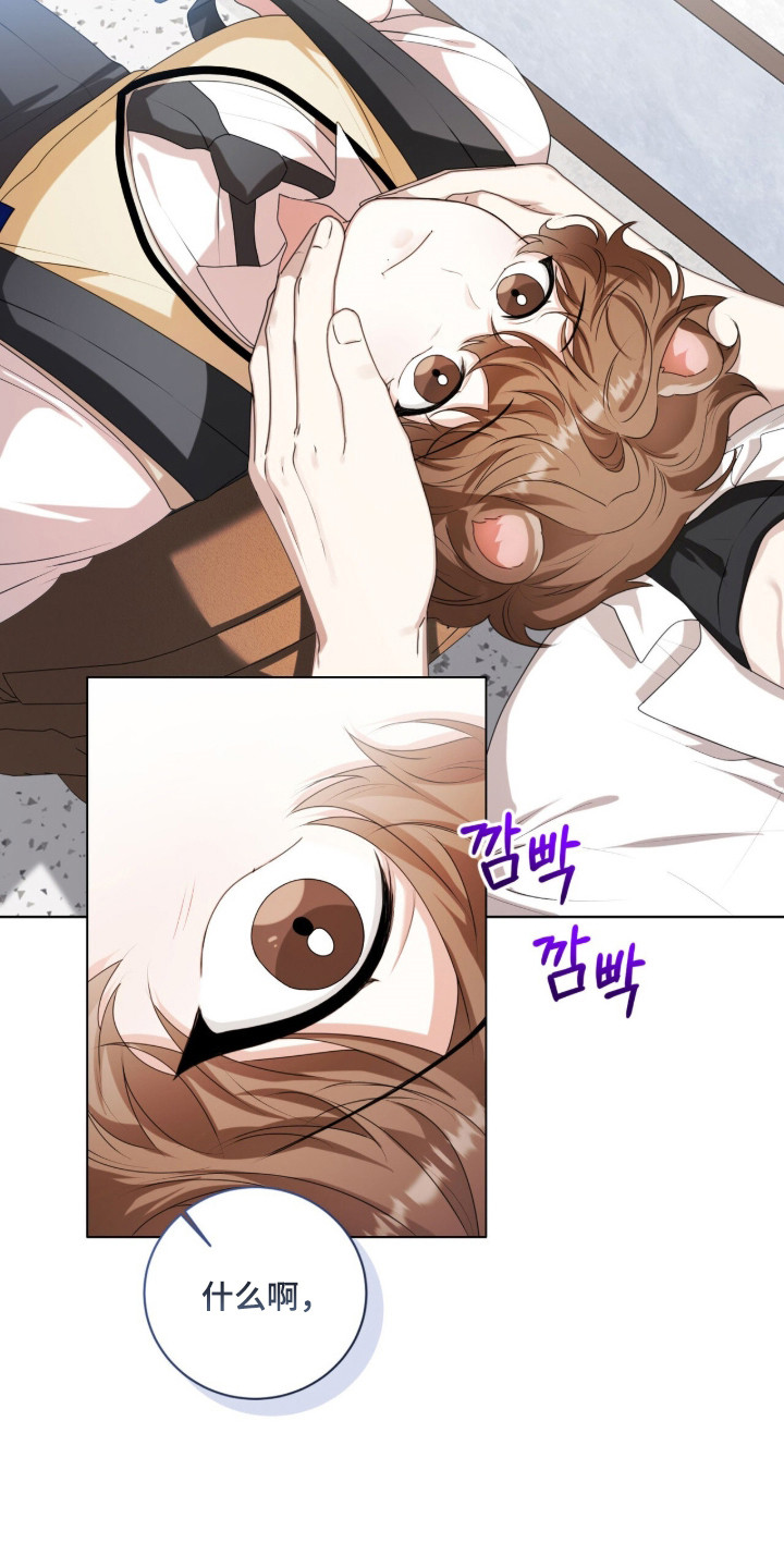猛兽勿近漫画书正版漫画,第40章：是不是死了3图