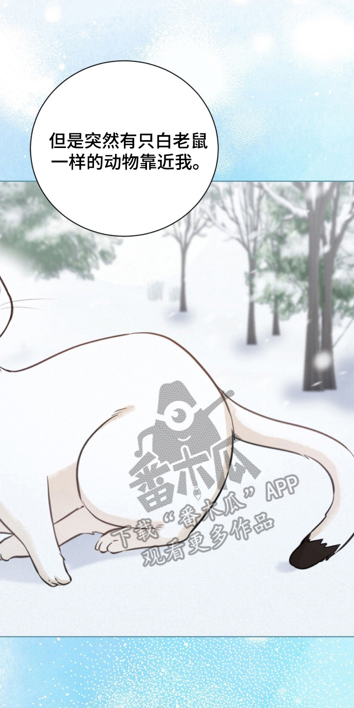 猛兽勿近漫画,第33章：他的初恋1图