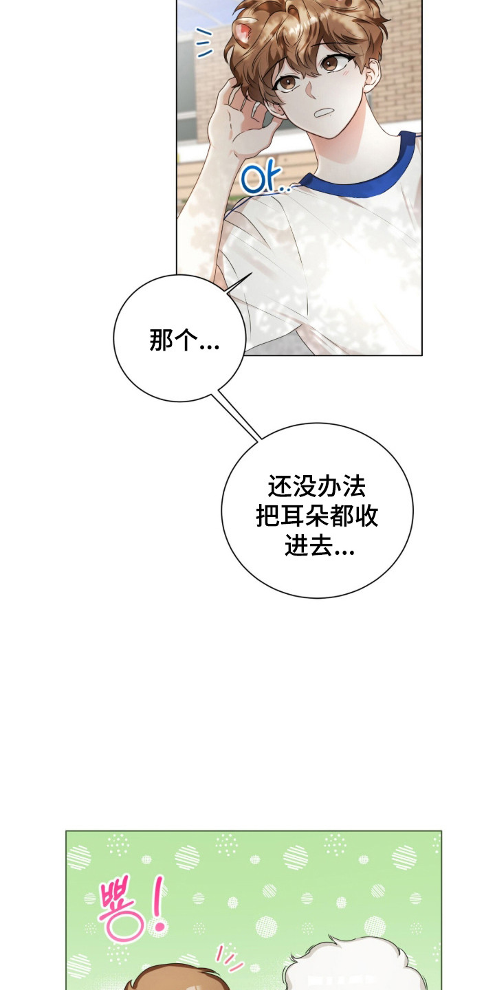 猛兽勿近允泰剧情漫画,第43章：久违笑容5图