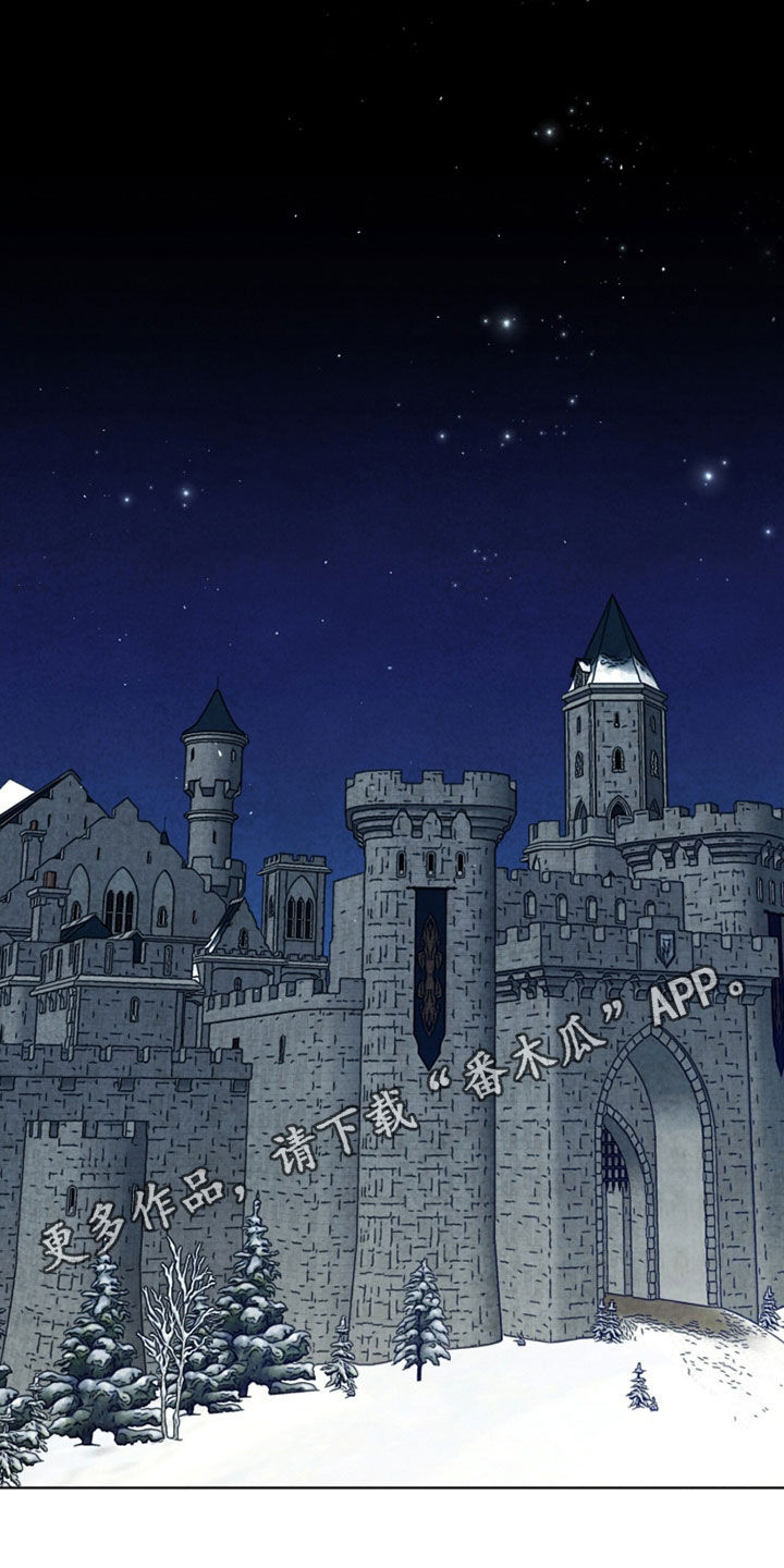 冰封的王嫁漫画,第25章：成功了1图