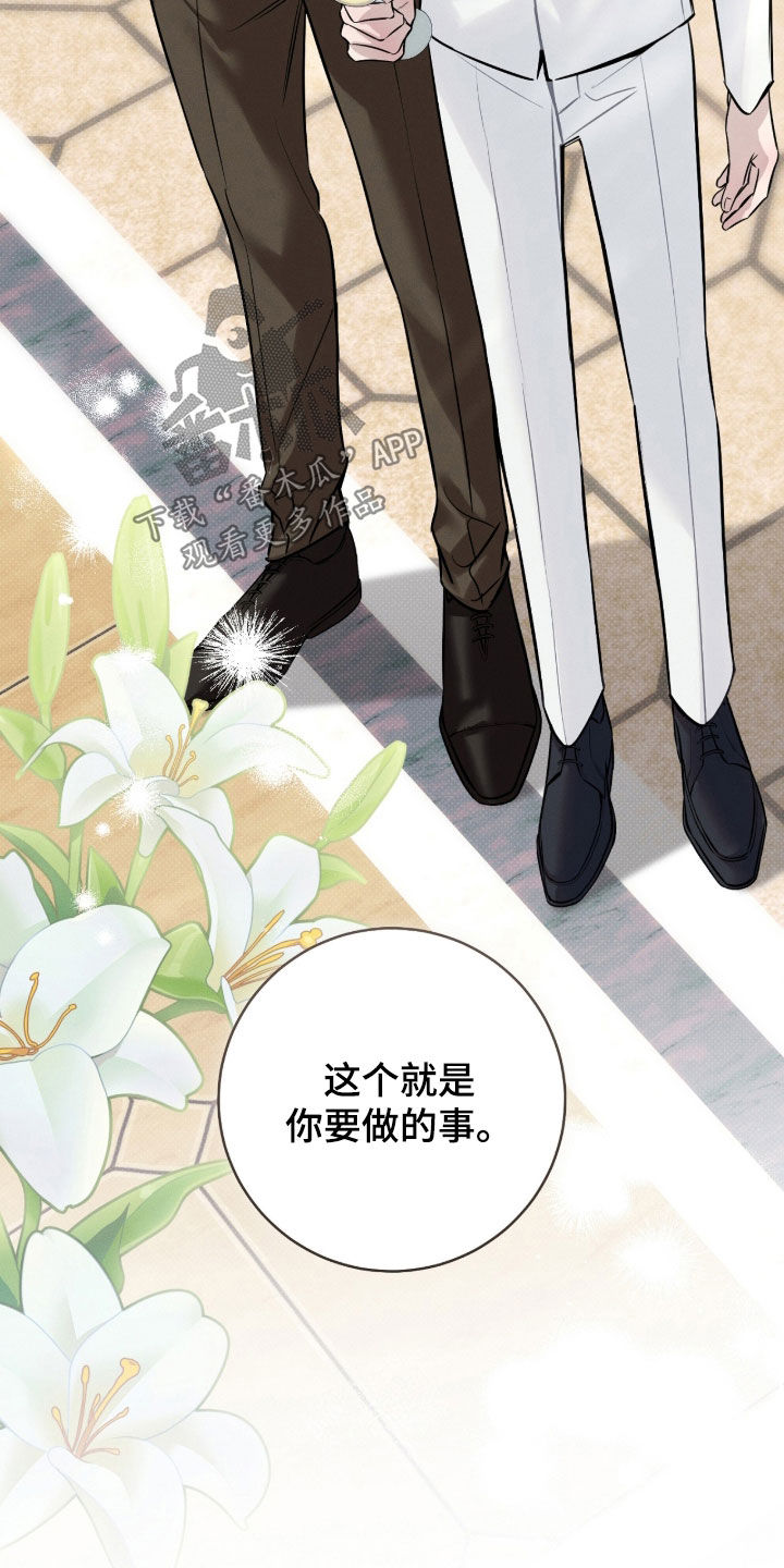 冬夜回响漫画,第22章：任务3图